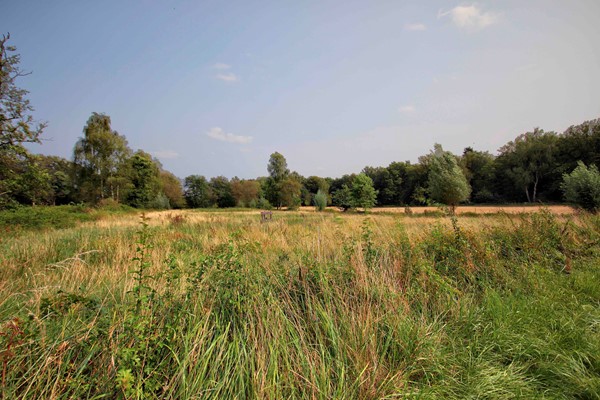 Medium property photo - De Kamp 4, 6866 ND Heelsum